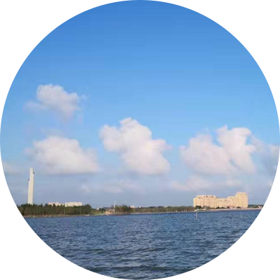 企業願景